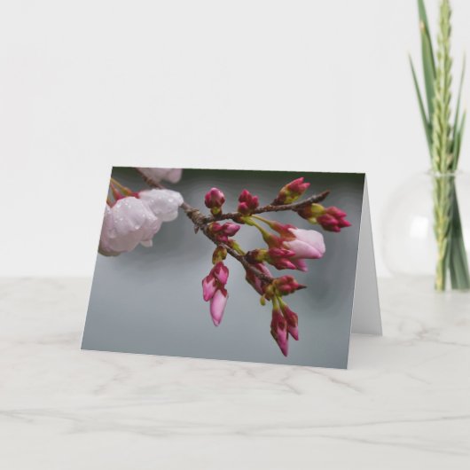 緑の地球 カード (正面)