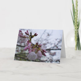 緑の地球 サンキューカード