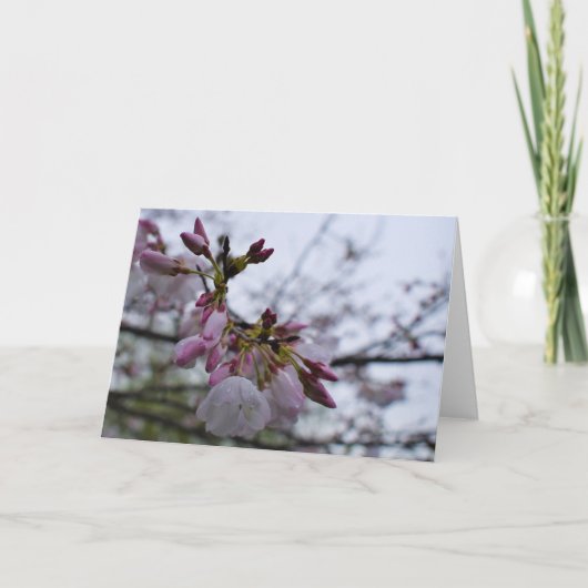 緑の地球 サンキューカード (正面)