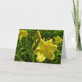 緑の地球 サンキューカード