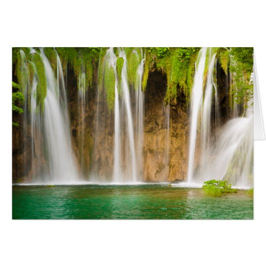 緑の夏の滝 (正面横)