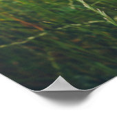 緑の夏の牧草地のカモミールの花 ポスター (角)