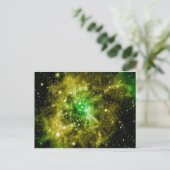 緑の外部空間 ポストカード (スタンド正面)