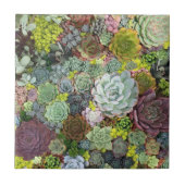 緑の多汁 タイル (正面)