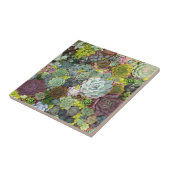 緑の多汁 タイル (側面)