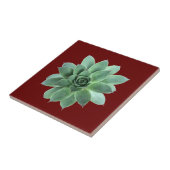 緑の多肉植物の砂漠レッド タイル (側面)