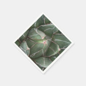 緑の多肉植物フォトカクテル紙ナプキンス スタンダードカクテルナプキン (角)
