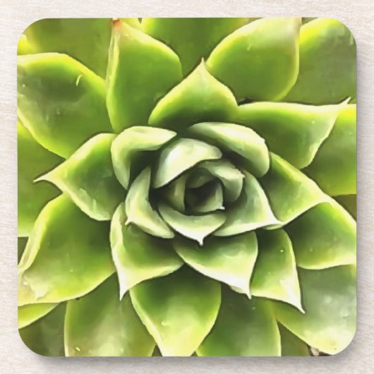 緑の多肉質のクローズアップCactiアート コースター (正面)
