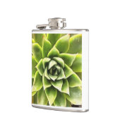緑の多肉質のクローズアップCactiアート フラスク (左)
