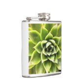 緑の多肉質のクローズアップCactiアート フラスク (右)