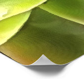 緑の多肉質のクローズアップCactiアート ポスター (角)