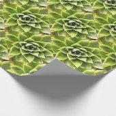 緑の多肉質のクローズアップCactiアート ラッピングペーパー (角)