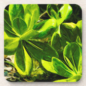 緑の多肉質海ビーチ植物抽象芸術 コースター (正面)