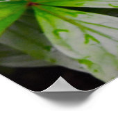 緑の大地 ポスター (角)