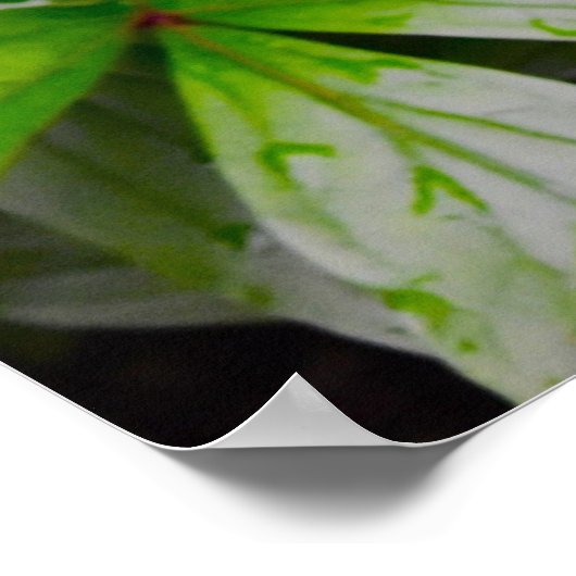 緑の大地 ポスター (角)