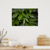 緑の大地 ポスター (キッチン)