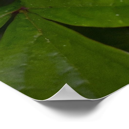 緑の大地 ポスター (角)