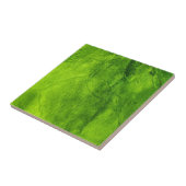 緑の大理石の外観 タイル (側面)