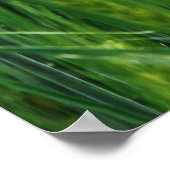 緑の大麦畑、春クローズアップ。 ポスター (角)