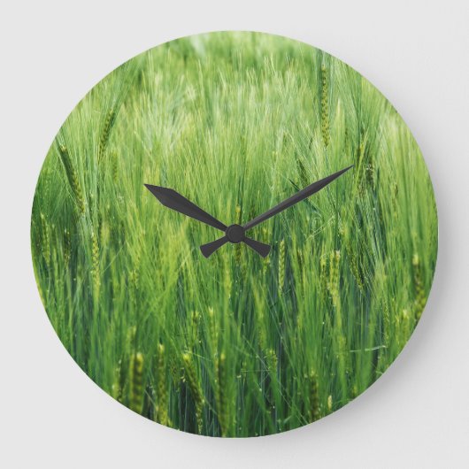 緑の大麦畑、春クローズアップ。 ラージ壁時計 (正面)
