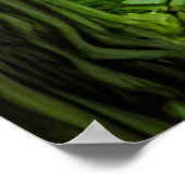 緑の女神の魔法林 ポスター (角)