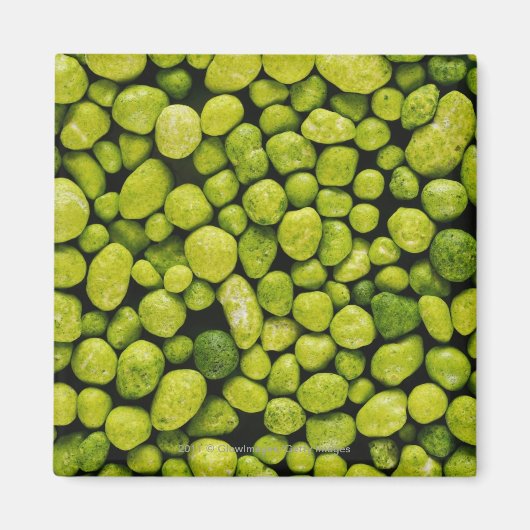 緑の小石のクローズアップ マグネット (正面)