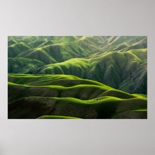 緑の山々の鳥瞰写真 ポスター (正面)