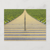 緑の席の列の間のスタジアム階段 ポストカード (正面)