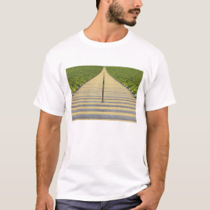 緑の座席の列間の競技場の階段 Tシャツ