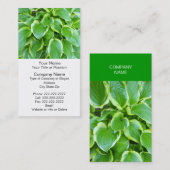 緑の庭のHostAの植物の植物のカスタム 名刺 (正面/裏面)