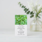 緑の庭のHostAの植物の植物のカスタム 名刺 (スタンド正面)