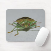 緑の悪臭の虫のmousepad マウスパッド (マウス)