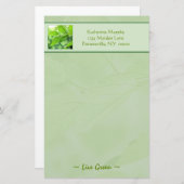 緑の文房具 便箋 (正面/裏面)