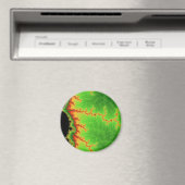 緑の断層線磁石 マグネット (インサイチュ (食洗機))