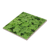 緑の新鮮なシャムロック、幸運な聖パトリックス・クローバー タイル (側面)