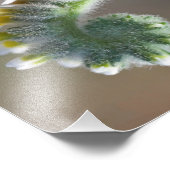 緑の春時巻き花 フォトプリント            (角)