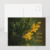 緑の暖かい黄色の植物の写真はがき ポストカード (正面/裏面)
