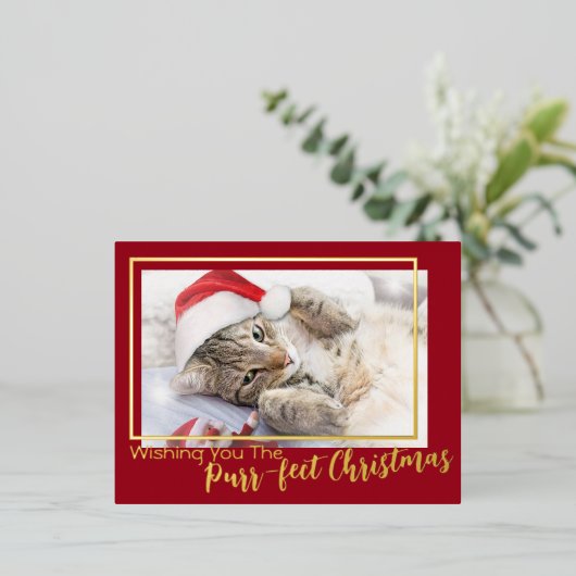 緑の望むPurr-fectクリスマス2の写真 箔シーズンポストカード (立ち正面)