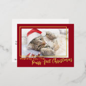 緑の望むPurr-fectクリスマス2の写真 箔シーズンポストカード (正面/裏面)