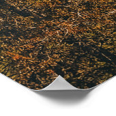 緑の木と草原 ポスター (角)