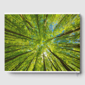 緑の木のを見上げ葉る ゲストブック (裏面)