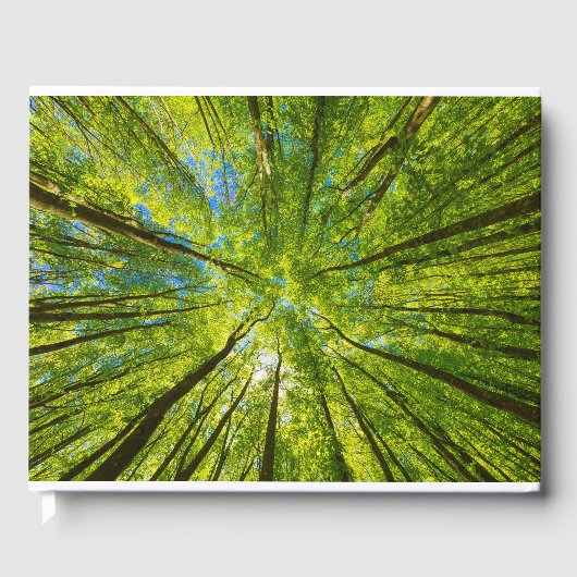 緑の木のを見上げ葉る ゲストブック (正面)