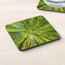 緑の木のを見上げ葉る コースター