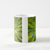 緑の木のを見上げ葉る コーヒーマグカップ (中央)
