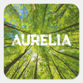 緑の木のを見上げ葉る スクエアシール (正面)