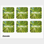 緑の木のを見上げ葉る スクエアシール (シート)