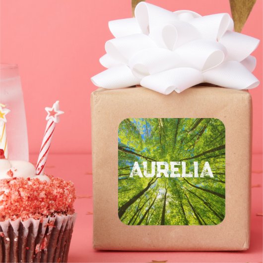 緑の木のを見上げ葉る スクエアシール (パーティー)