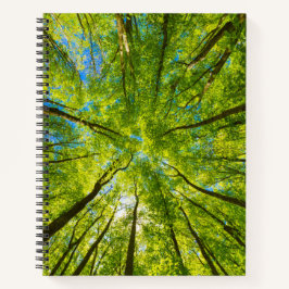 緑の木のを見上げ葉る ノートブック