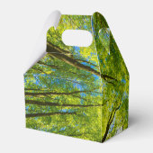 緑の木のを見上げ葉る フェイバーボックス (裏面サイド)