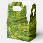 緑の木のを見上げ葉る フェイバーボックス (オープン)